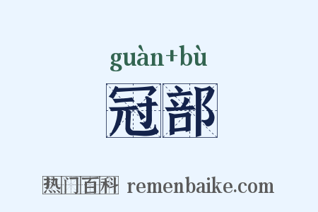 冠部是什么意思的图片